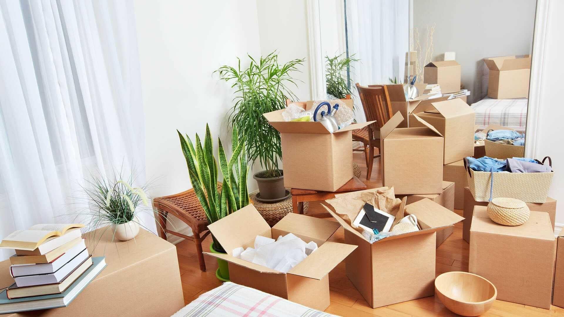 home moving services